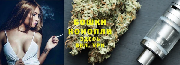 прущий лед Арсеньев