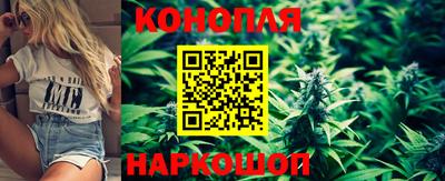 шишки Волгодонск