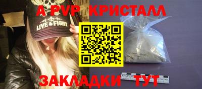 шишки Волгодонск