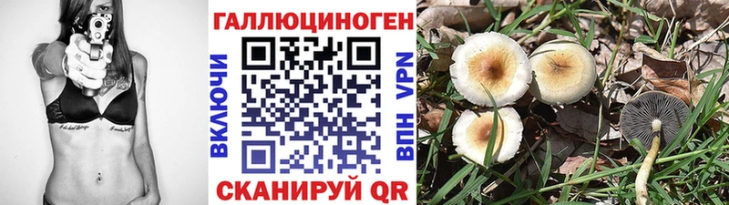 Псилоцибиновые грибы прущие грибы Шатура