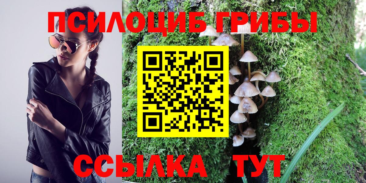 Псилоцибиновые грибы Magic Shrooms  Вход с VPN  Галлюциногенные грибы Psilocybine cubensis  Шатура 